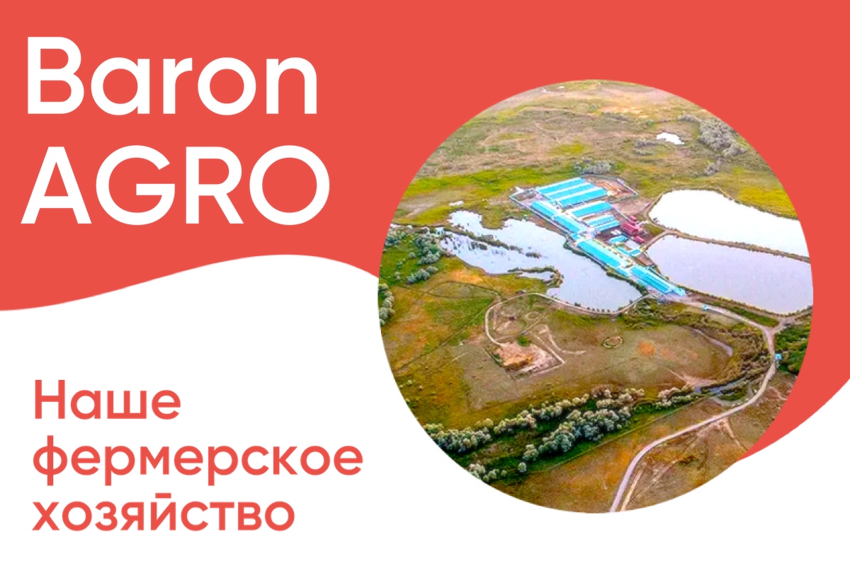Baron Agro — наше фермерское хозяйство
